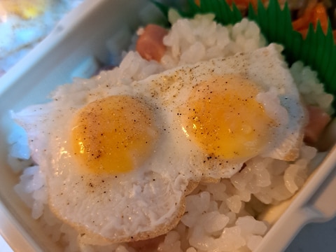 可愛い目玉焼きごはん弁当